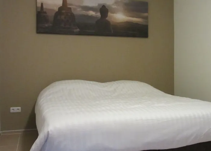 Апарт-отель Garni Am Lindenhof 3*